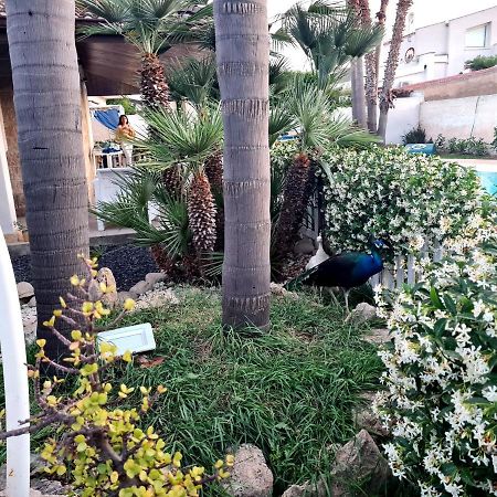 Dependance Oscar Apartment Carrozziere Fonte Ciane Bagian luar foto