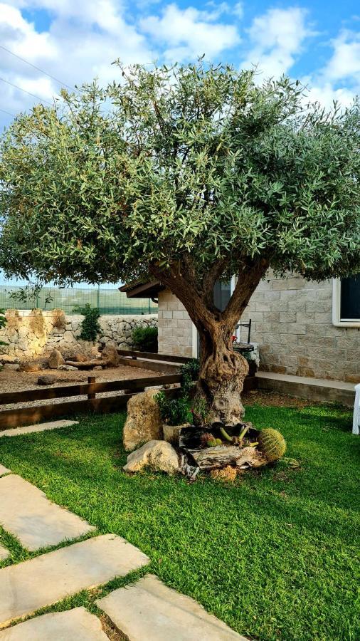 Dependance Oscar Apartment Carrozziere Fonte Ciane Bagian luar foto