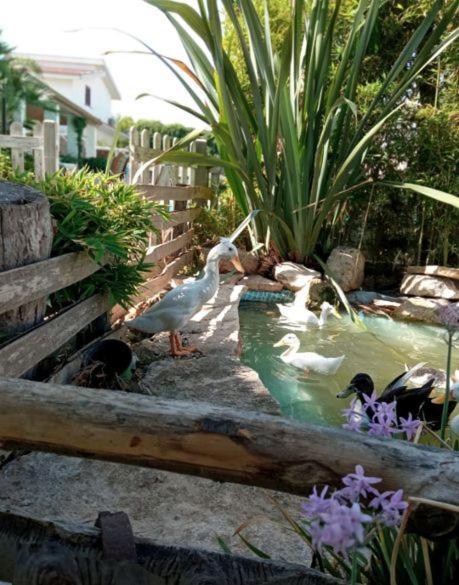 Dependance Oscar Apartment Carrozziere Fonte Ciane Bagian luar foto